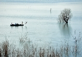 Tuổi thơ