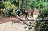 Gian nan giữa mùa mưa - 2